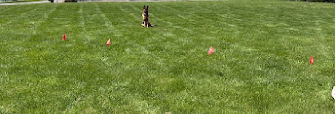CT Pet Fence – Installer of Pet Stop Hidden Fences