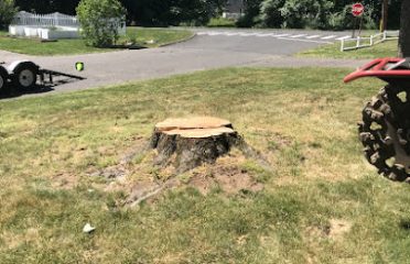 Stump “OFF” LLC Stump Grinding