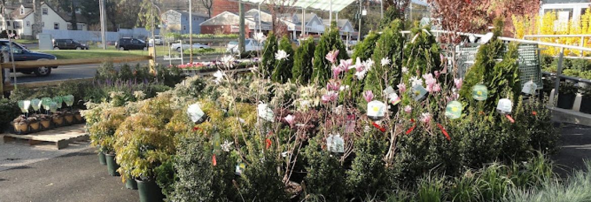 Treeland Garden Center & Nursery