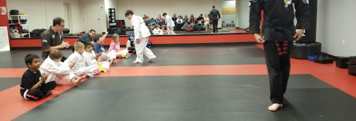 Baran’s Kenpo Karate