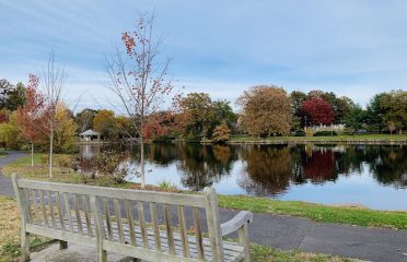 Binney Park