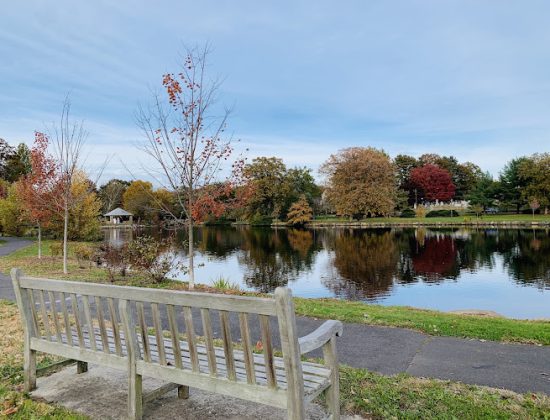 Binney Park