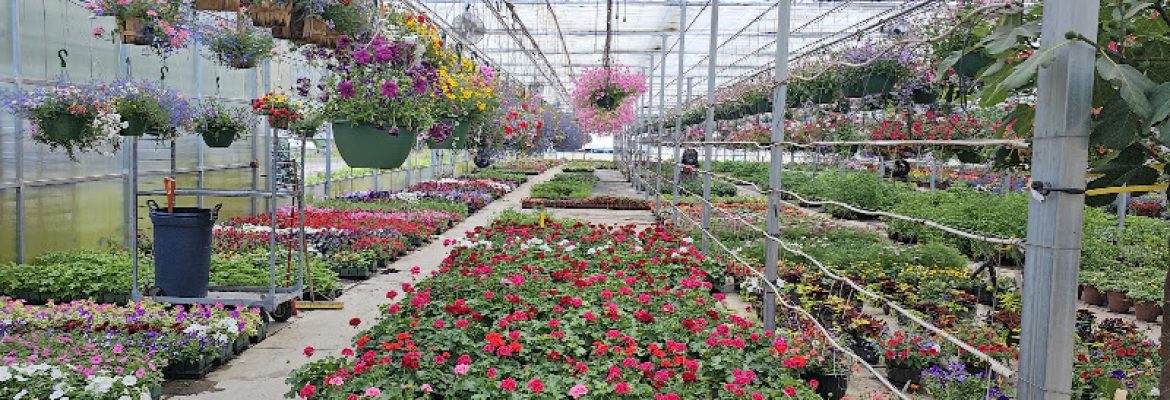 North Guilford Nurseries