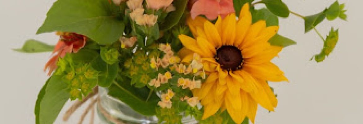Mystical Gardens Flower Farm