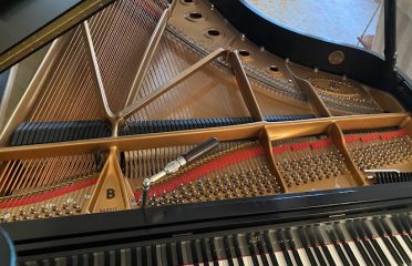 Amadeus Piano Co., LLC