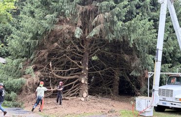 Elliott Tree Service