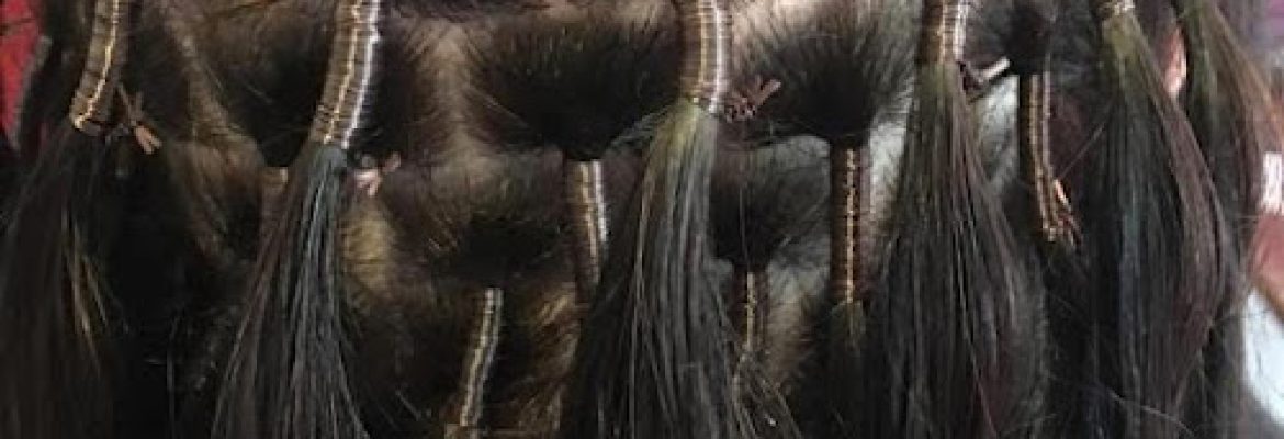 Paris cosmetics hair llc/Lu Pulley beauty salon
