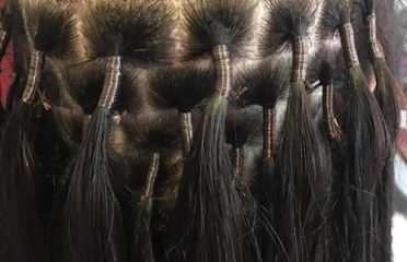Paris cosmetics hair llc/Lu Pulley beauty salon