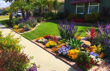 Joses Landscaping LLC.