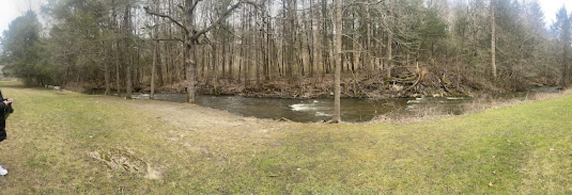Carlson’s Grove Park
