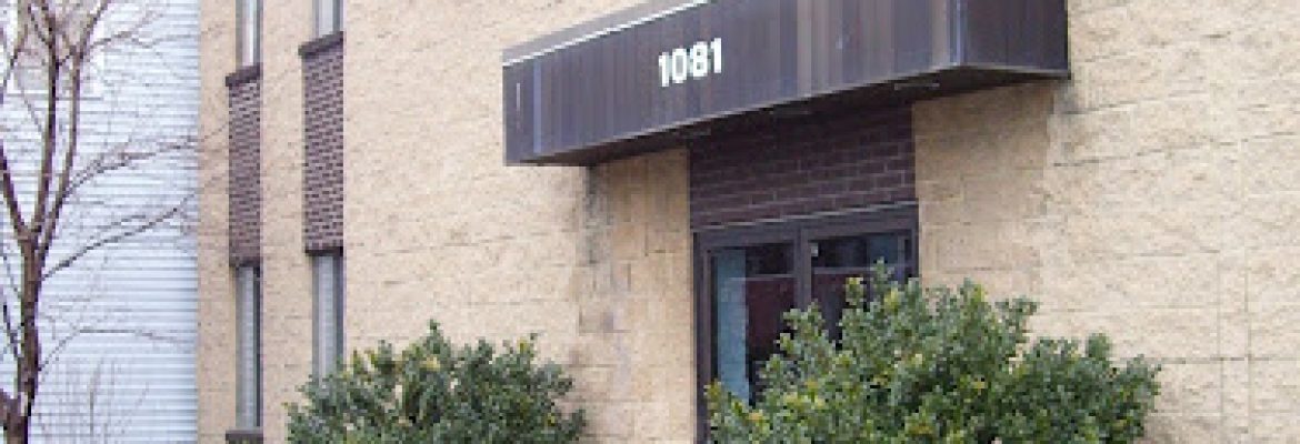 The Stein Dental Group
