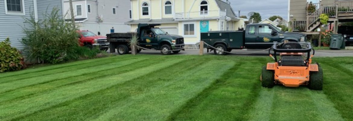 Total Lawn Care & More
