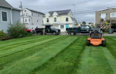 Total Lawn Care & More