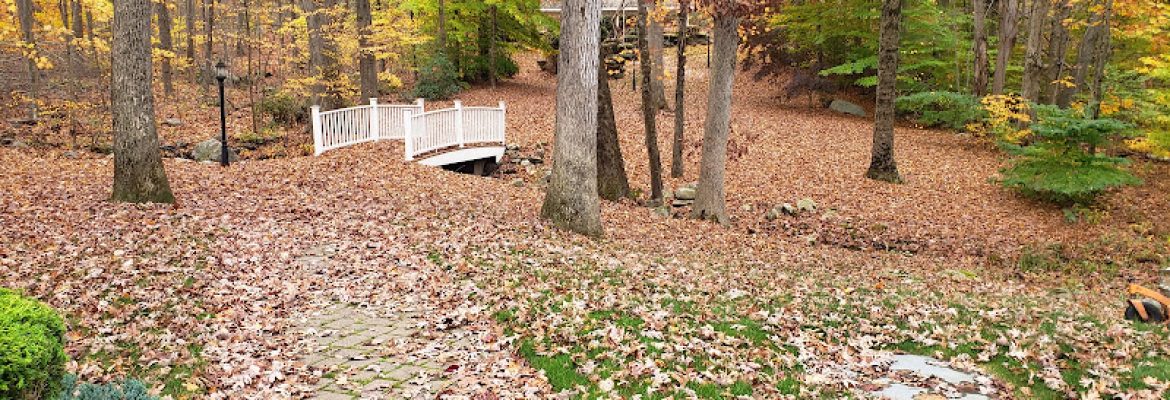 Greenbridge Lawn care