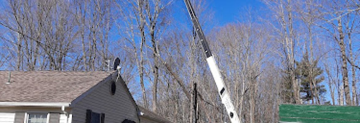 Bob’s Tree Service