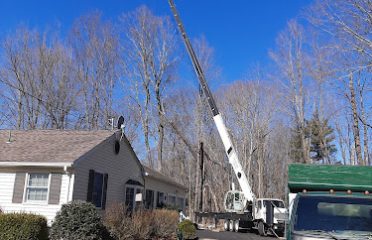 Bob’s Tree Service