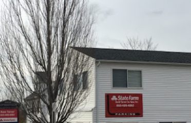 Dave Turner – State Farm Insurance Agent