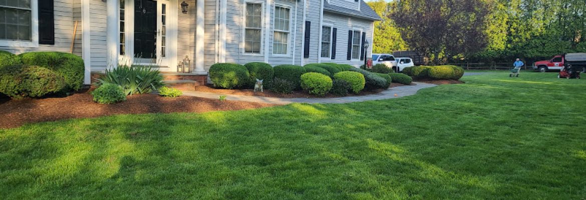 VS Landscaping LLC