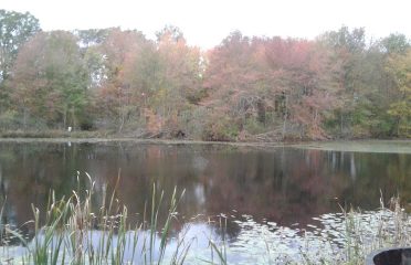 Sunny Waters Mobile Home Park