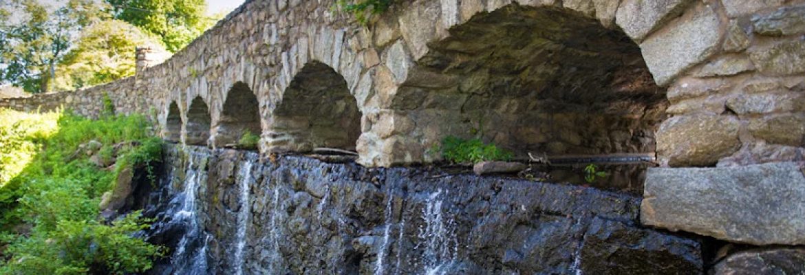 Firefly Therapeutic Massage and Wellness