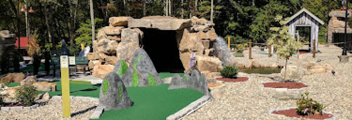 The Dinosaur Place