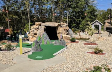 The Dinosaur Place