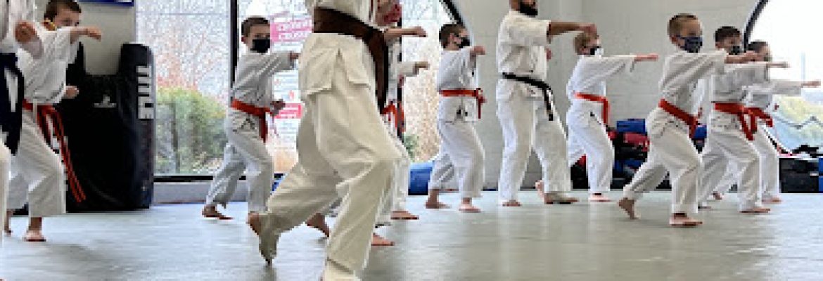 Salerni Dojo Kyokushin Karate LLC