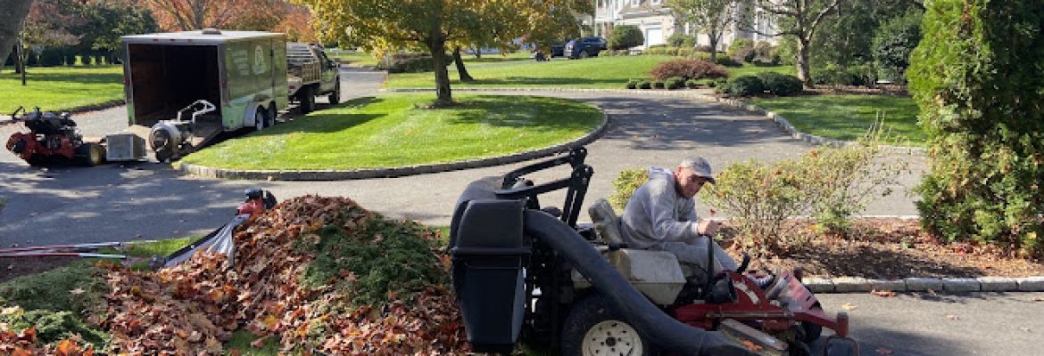 JS Landscaping and Tree services