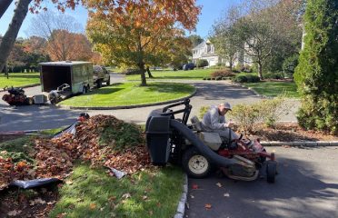 JS Landscaping and Tree services