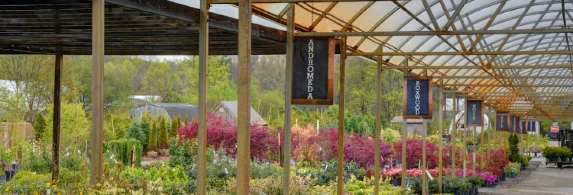 Burnett’s Country Gardens
