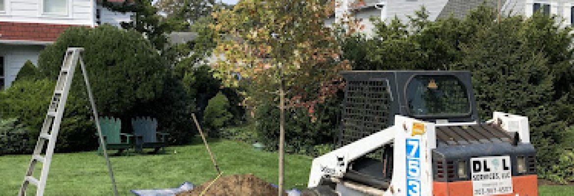 DLL LANDSCAPING SERVICES LLC