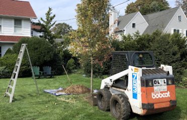 DLL LANDSCAPING SERVICES LLC