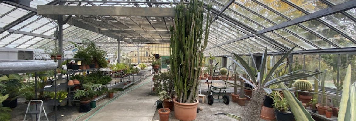 The Greenhouse @ The Bartlett Arboretum