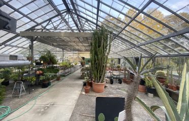 The Greenhouse @ The Bartlett Arboretum