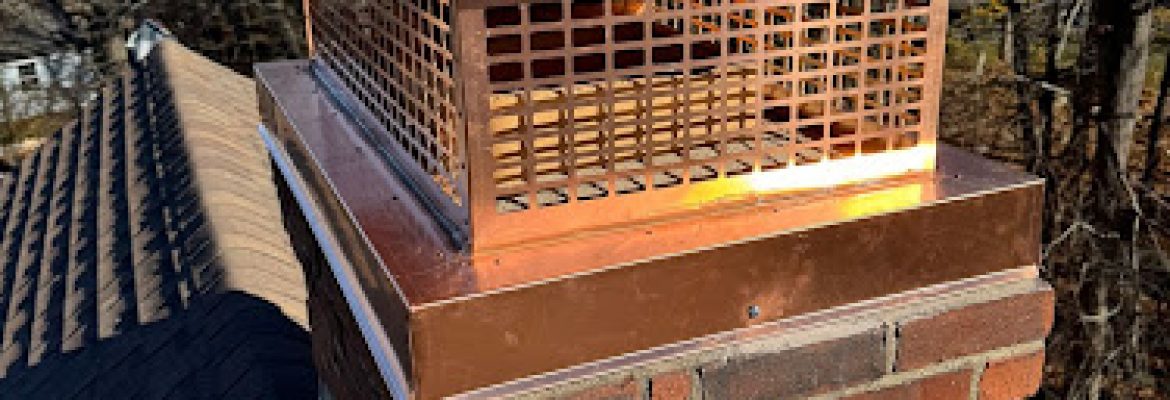 Ace Chimney Services