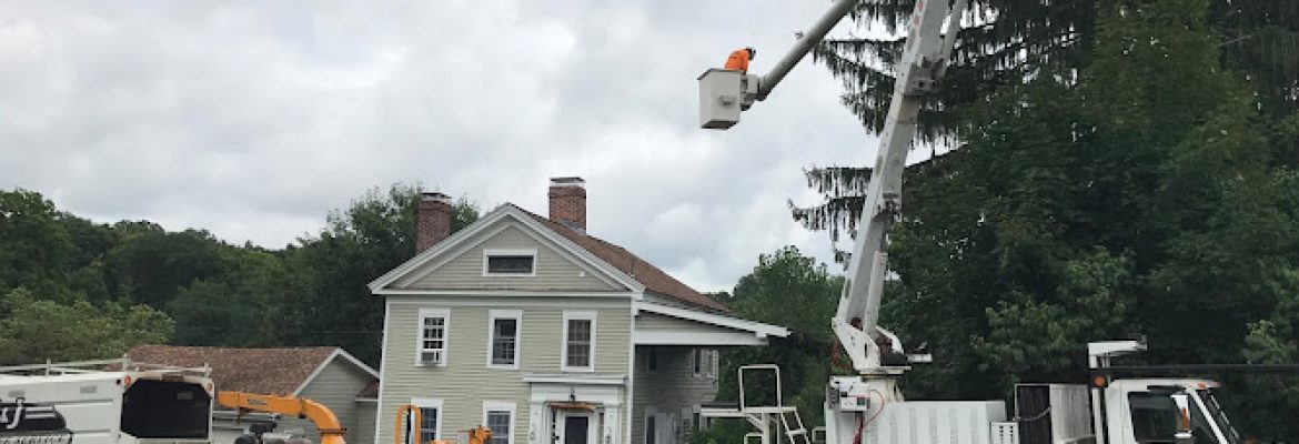 K&J Tree Service