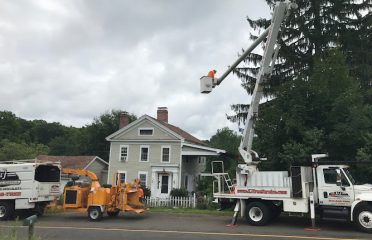 K&J Tree Service