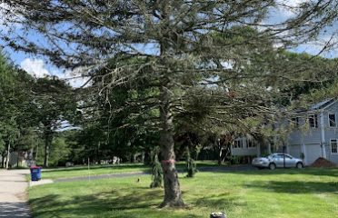 O’Donnell Landscaping, LLC