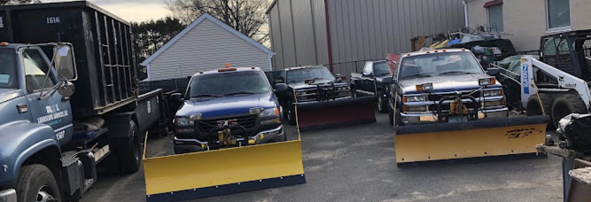 DLL LANDSCAPING SERVICES LLC