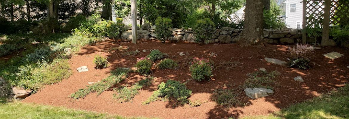 A B Reilly Landscape Services