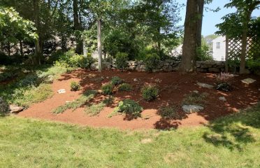 A B Reilly Landscape Services