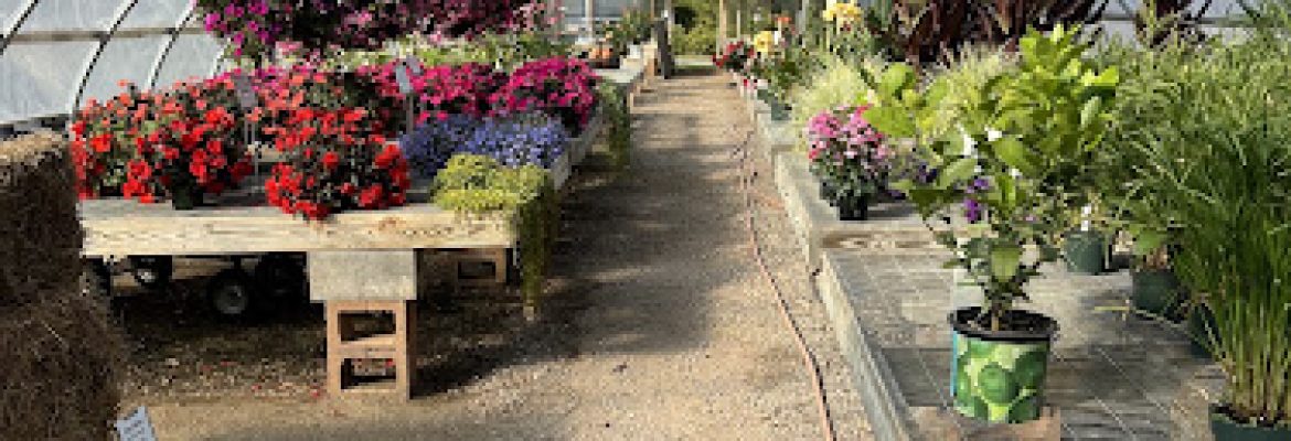 Sprucedale Gardens Greenhouse & Nursery
