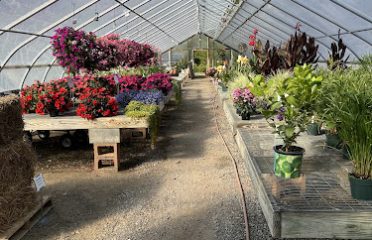 Sprucedale Gardens Greenhouse & Nursery