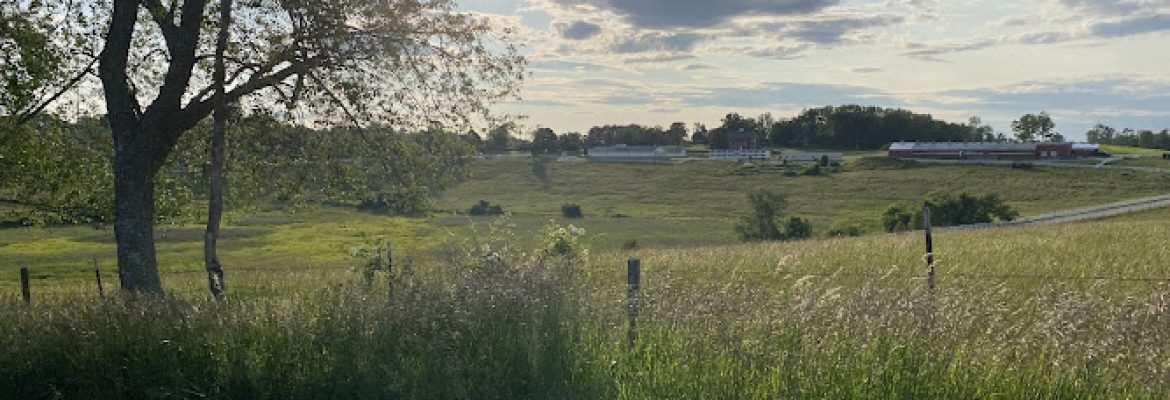 Horsebarn Hill