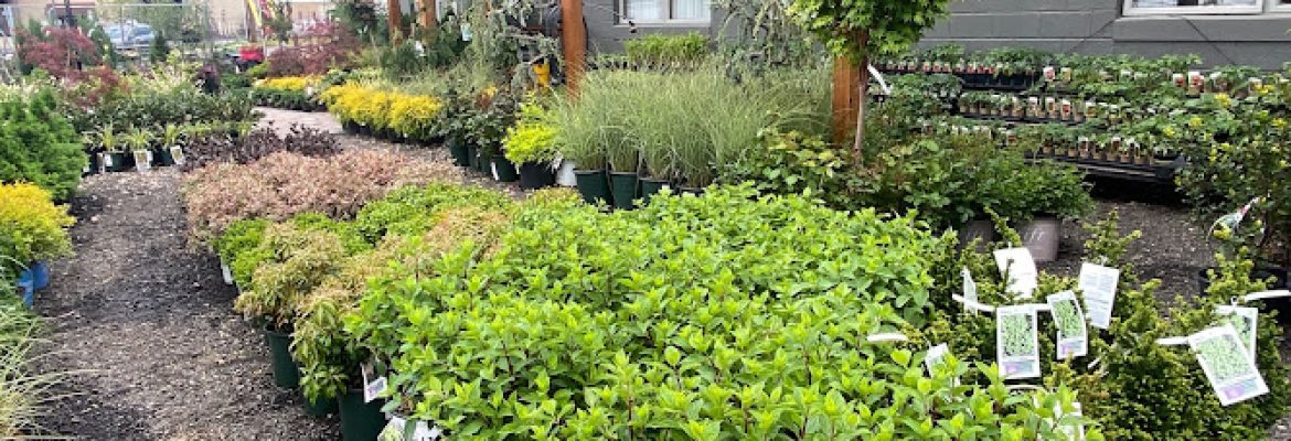 Shannon Landscape & Garden Center