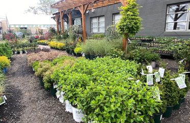 Shannon Landscape & Garden Center