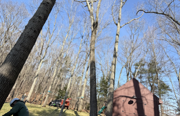 Martinez Tree Work CT
