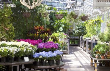 McArdle’s Floral & Garden Design