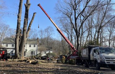 JS Landscaping and Tree services