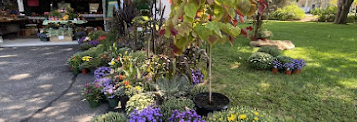 Pete’s Produce (Farm Stand)